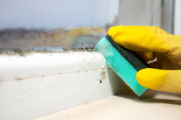 Best Emergency Mold Removal  in Crugers, NY